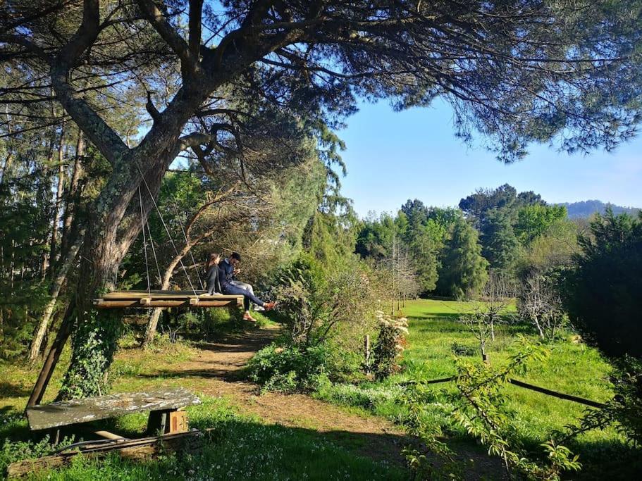 Pine Lodge - Direct Train To Porto Valongo  Luaran gambar