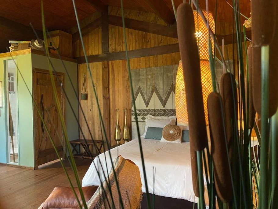 Pine Lodge - Direct Train To Porto Valongo  Luaran gambar