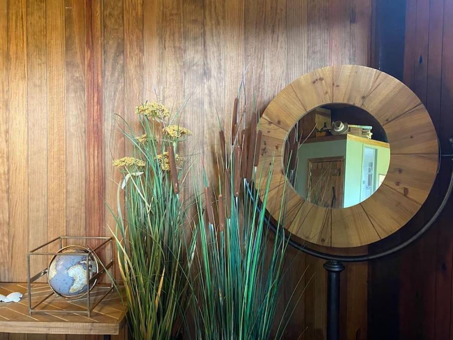 Pine Lodge - Direct Train To Porto Valongo  Luaran gambar