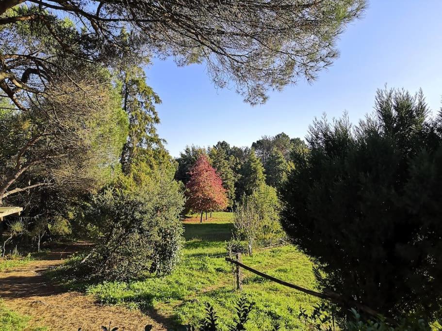 Pine Lodge - Direct Train To Porto Valongo  Luaran gambar