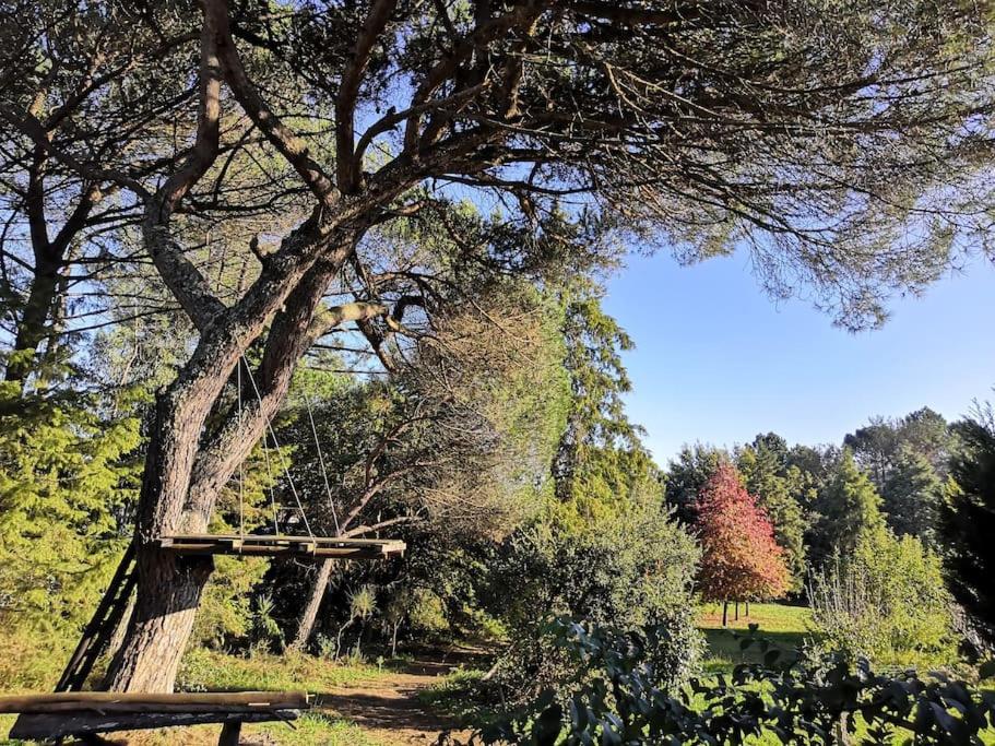 Pine Lodge - Direct Train To Porto Valongo  Luaran gambar